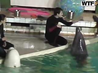 Lovely And Youthful Brown-haired Stunner Natasha Is Getting Seduced By Her Workmate At Dolphinarium For Insane Fuck.